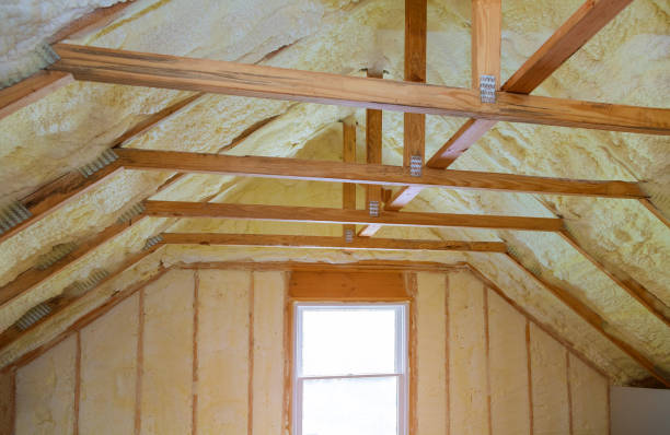 Best Commercial Insulation in Wagener, SC