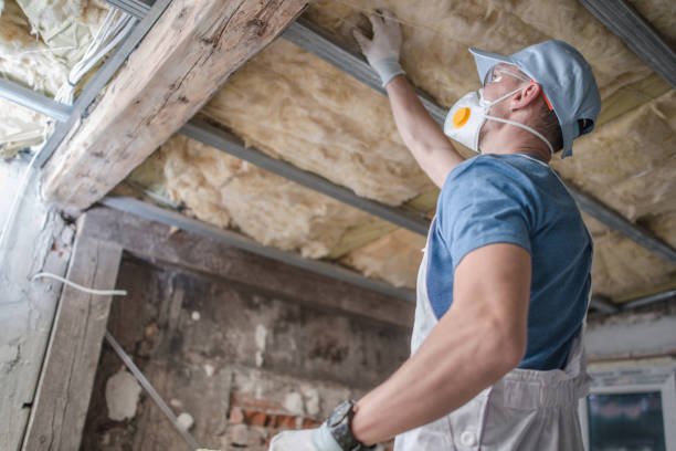Best Insulation Maintenance and Repair in Wagener, SC