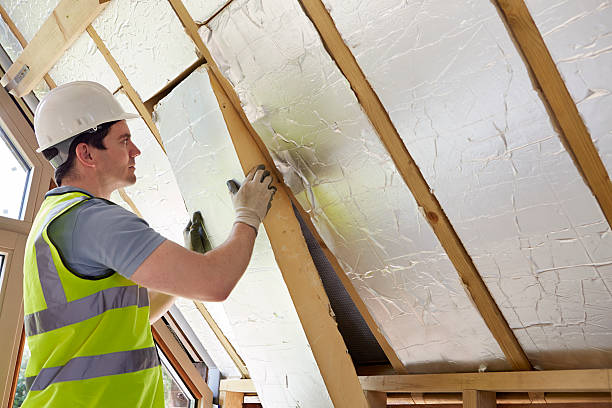 Types of Insulation We Offer in Wagener, SC